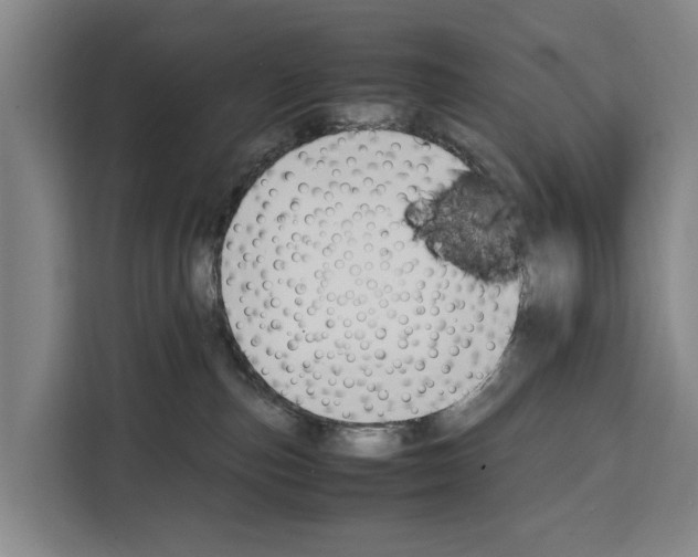 X0000108480187200905151230
