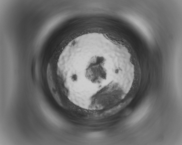 X0000108480189200905151230