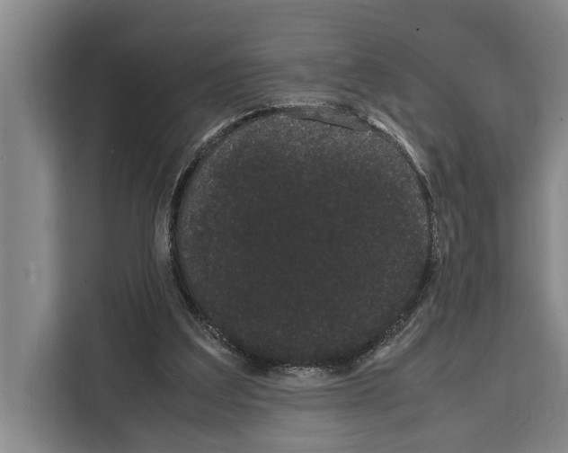 X0000108480203200905151229