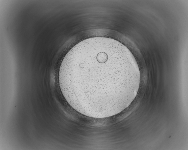 X0000108480206200905151229