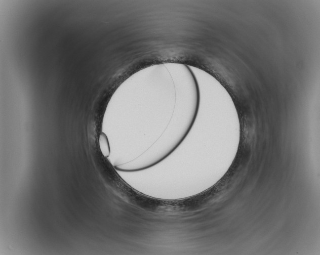 X0000108480211200905151229