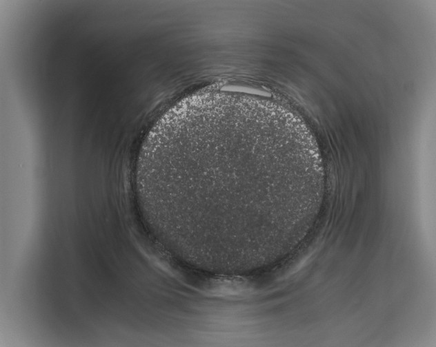 X0000108480215200905151229