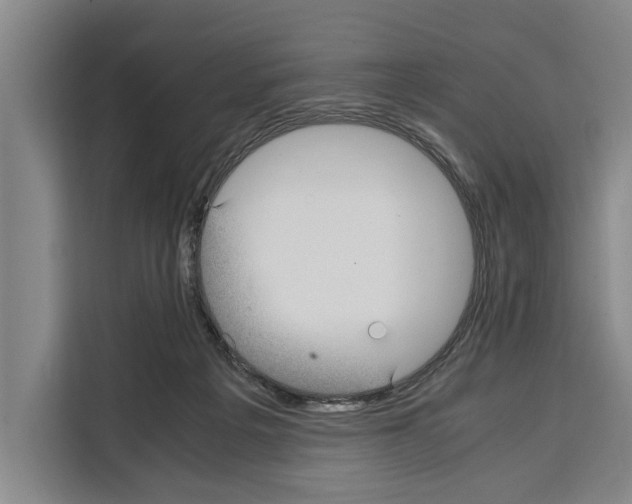 X0000108480217200905151229