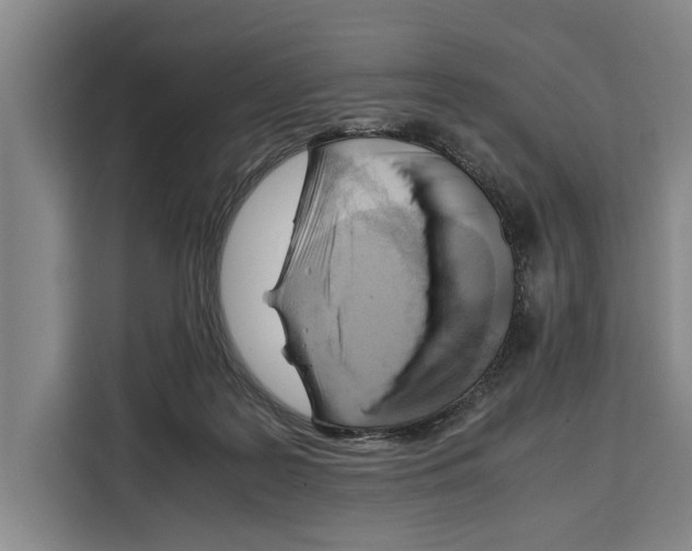 X0000108480219200905151229