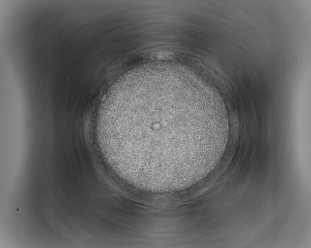 X0000108480222200905151229