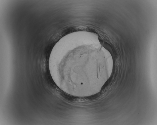 X0000108480223200905151229