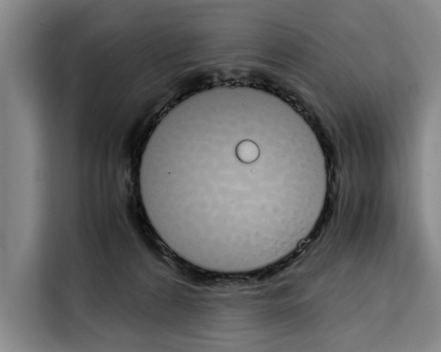 X0000108480224200905151229