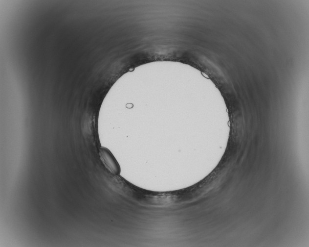 X0000108480225200905151229
