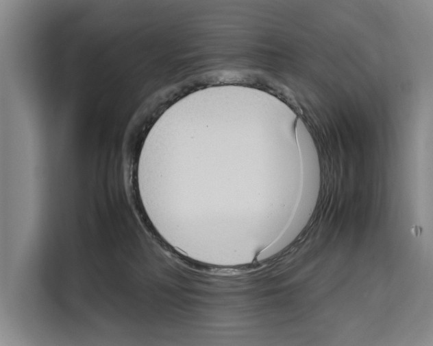X0000108480230200905151229