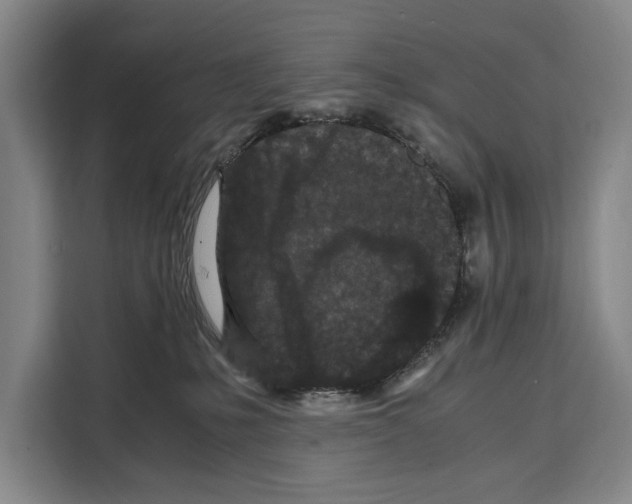 X0000108480231200905151229