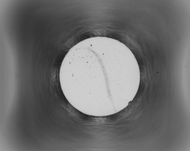 X0000108480233200905151229