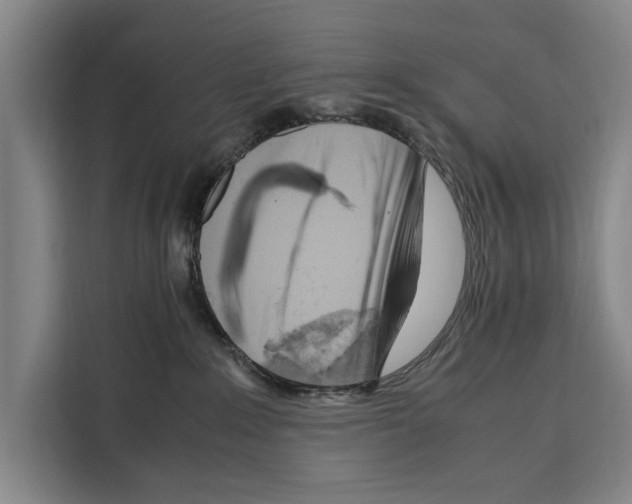 X0000108480235200905151229