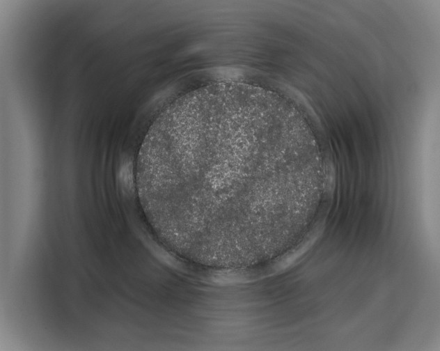 X0000108480238200905151229
