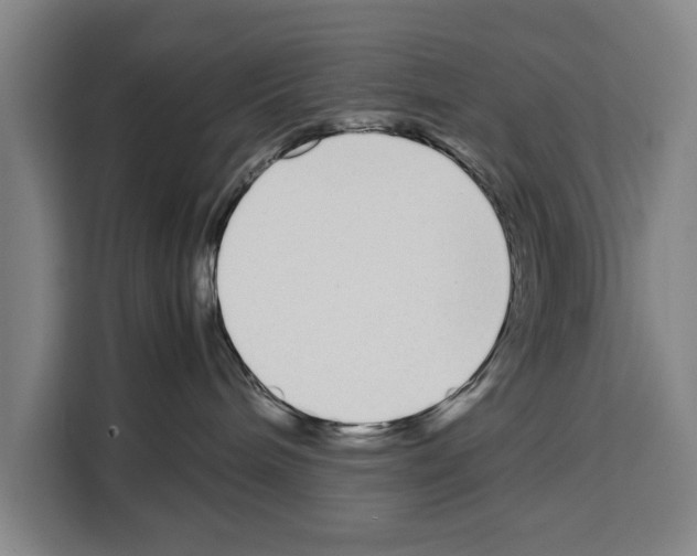 X0000108480240200905151229
