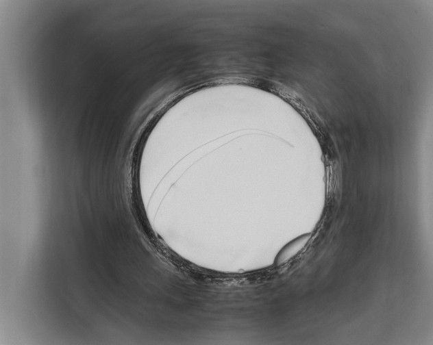 X0000108480243200905151228
