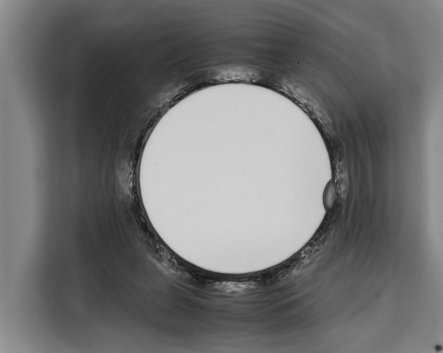 X0000108480255200905151229