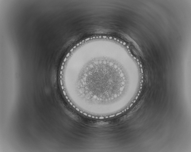 X0000108480257200905151229
