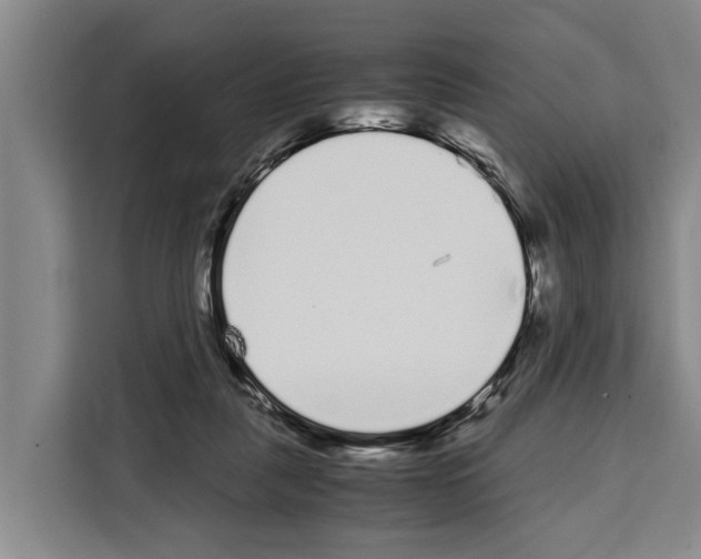 X0000108480259200905151229