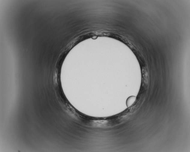X0000108480266200905151229