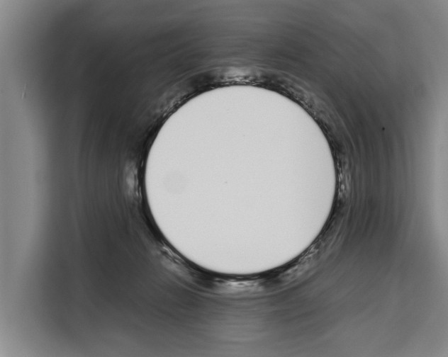 X0000108480270200905151229