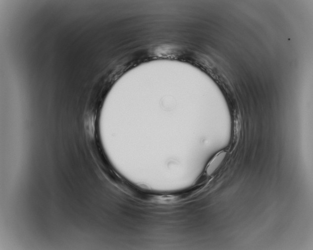 X0000108480271200905151229