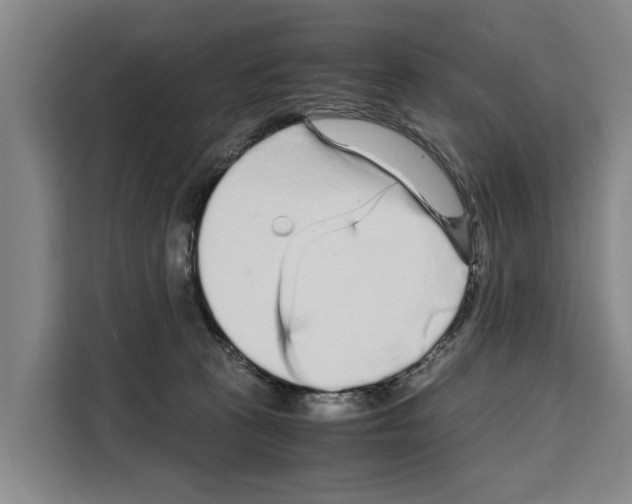 X0000108480273200905151229