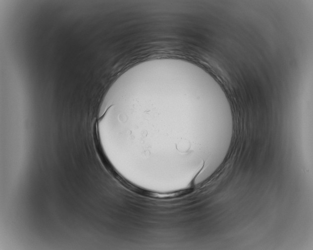 X0000108480277200905151229