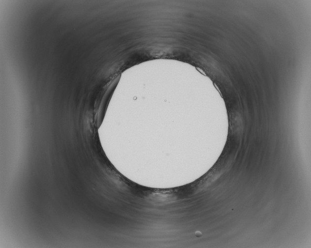 X0000108480280200905151229