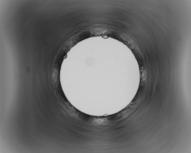 X0000108480283200905151229