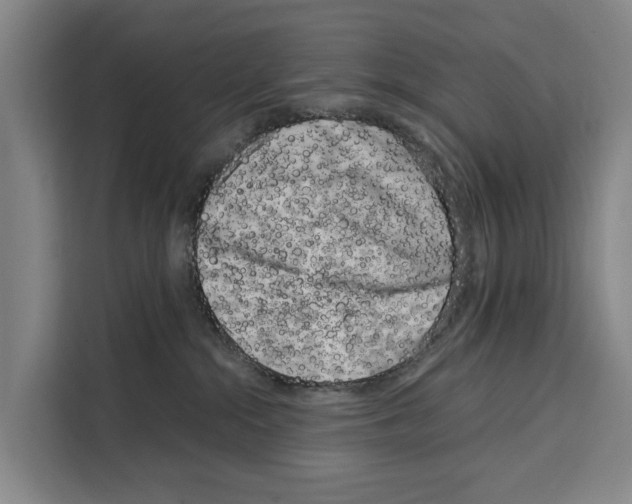 X0000108480284200905151229