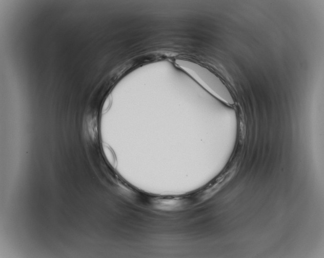 X0000108480285200905151229