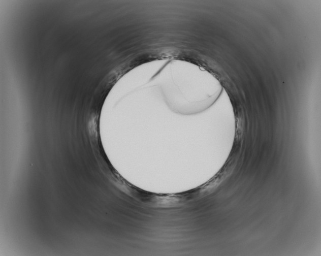 X0000108480286200905151229