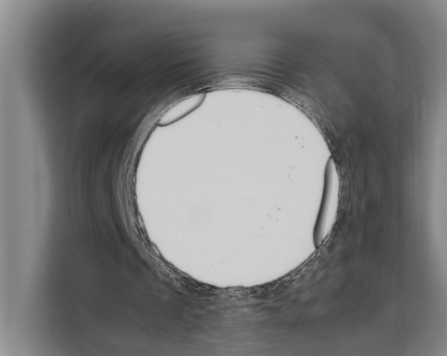 X0000108480289200905151228