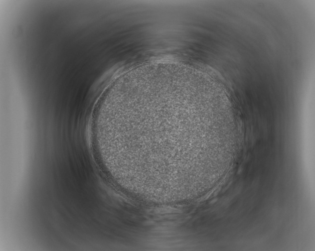 X0000108480290200905151228