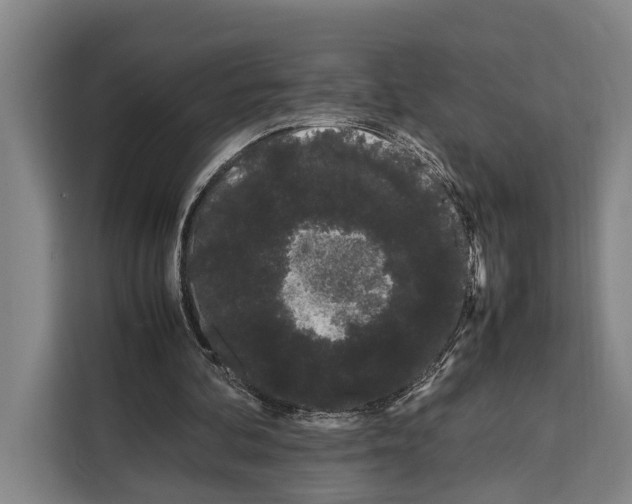 X0000108480292200905151228