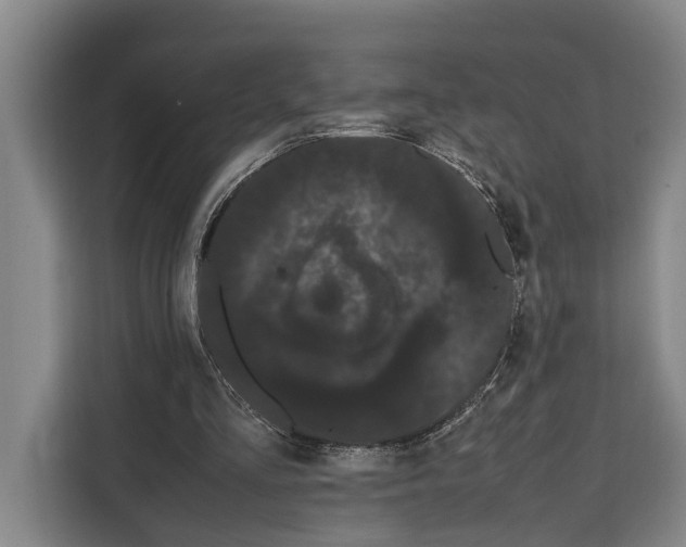 X0000108480293200905151228
