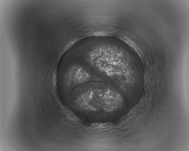 X0000108480297200905151228
