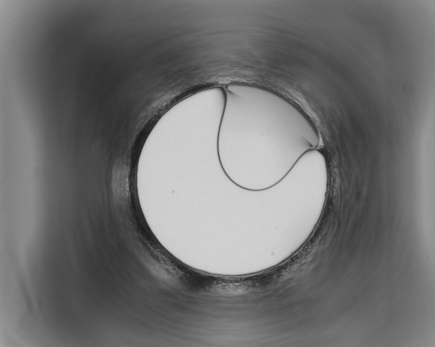 X0000108480299200905151228