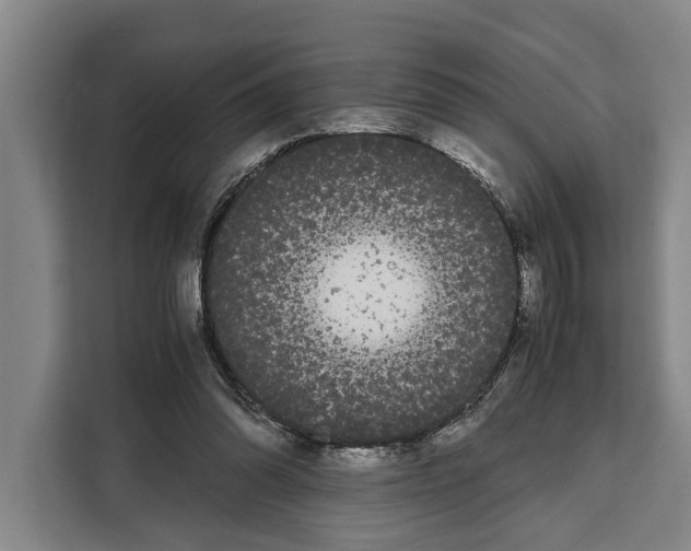 X0000108480302200905151228