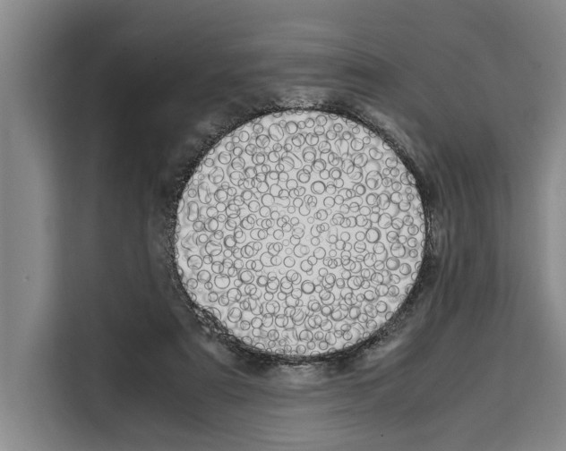X0000108480307200905151228