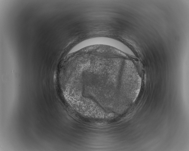 X0000108480308200905151228