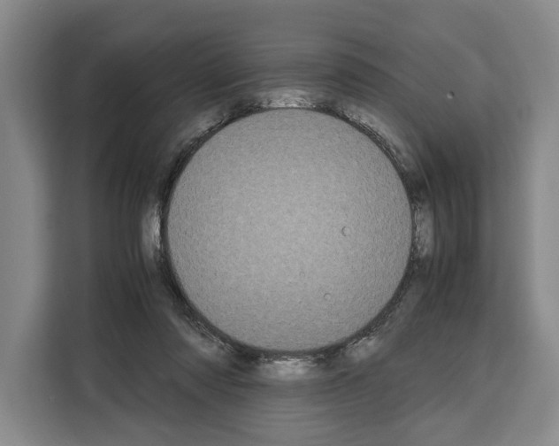 X0000108480310200905151228