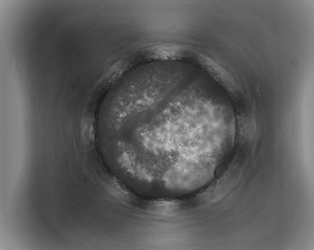 X0000108480313200905151228