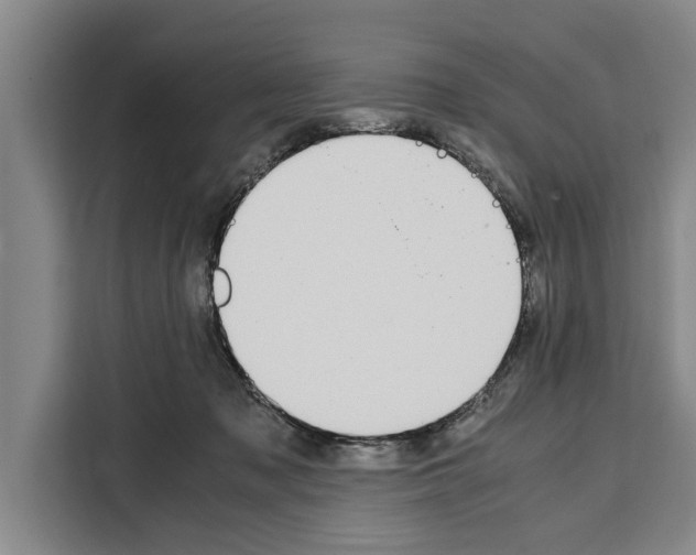 X0000108480317200905151228