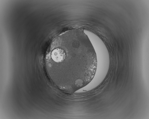X0000108480319200905151228
