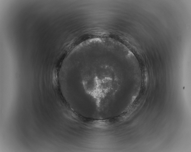 X0000108480320200905151228