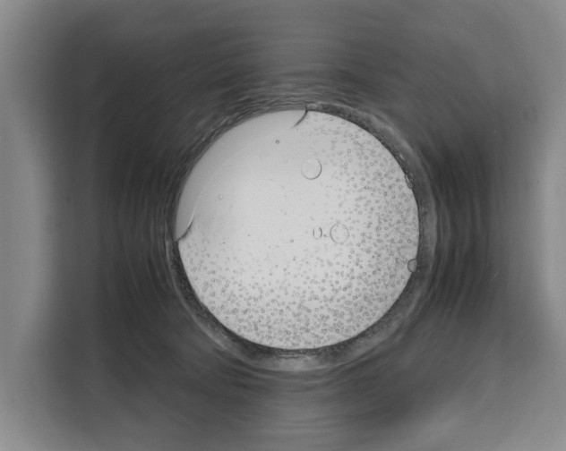 X0000108480322200905151228