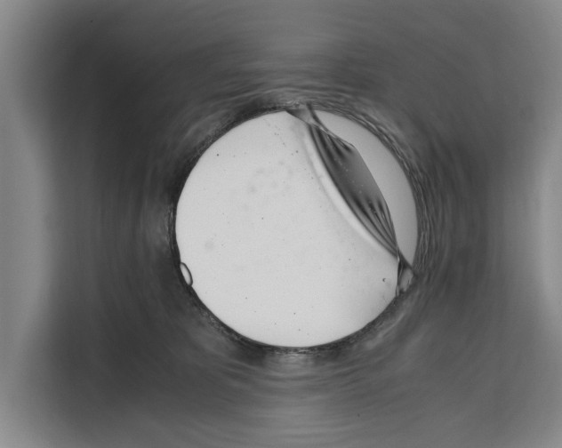X0000108480325200905151228