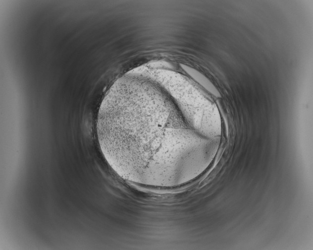 X0000108480328200905151228