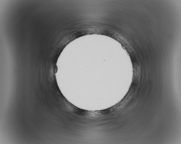 X0000108480333200905151228